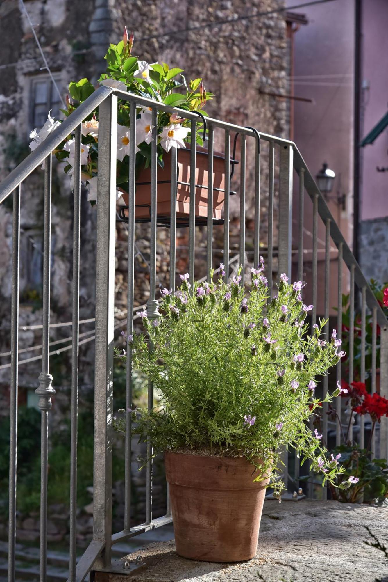 Casa Vacanze Tra I Monti E San Martino Biassa Esterno foto